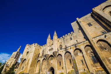 Doms Leydisinin Katedrali - Avignon, Fransa