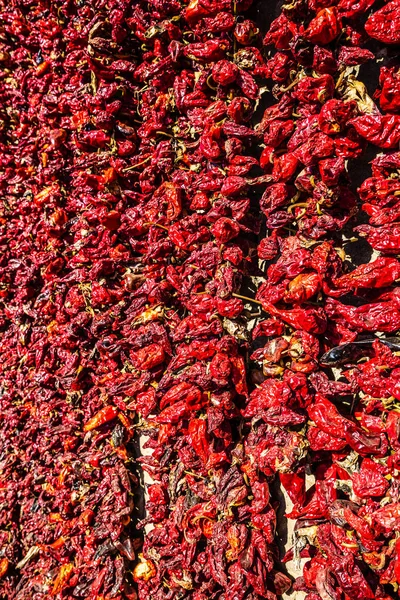 Detalj av hängande röd paprika i Donja Lokosnica, Leskovac, Serbien — Stockfoto