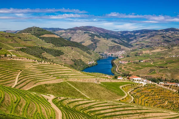 Douro Valley - Vila Real District, Portugal — Stock Photo, Image