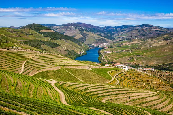 Douro Vadisi - Vila Gayrimenkul, Portekiz — Stok fotoğraf