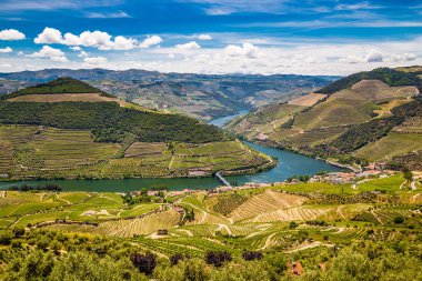 Douro Vadisi - Vila Gayrimenkul, Portekiz