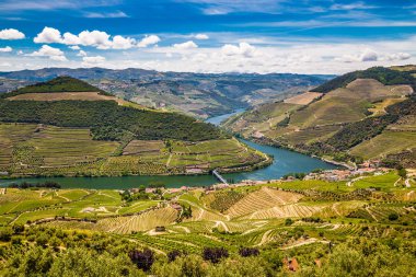 Douro Valley - Vila Real District, Portugal clipart