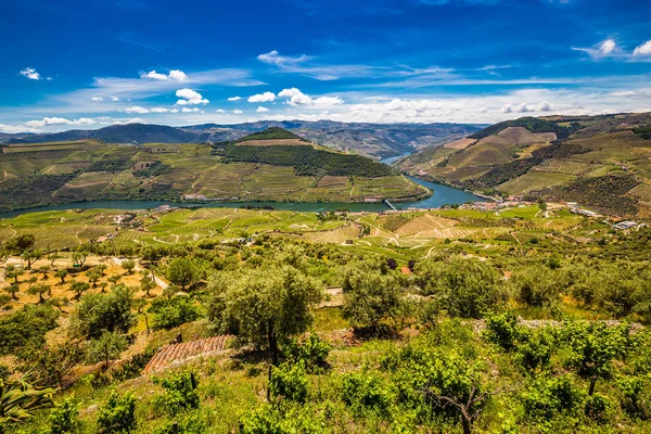 Vale do Douro - Distrito de Vila Real, Portugal — Fotografia de Stock