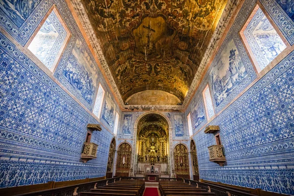 Interior Real Basílica Nuestra Señora Inmaculada Concepción Castro Verde Portugal — Foto de Stock