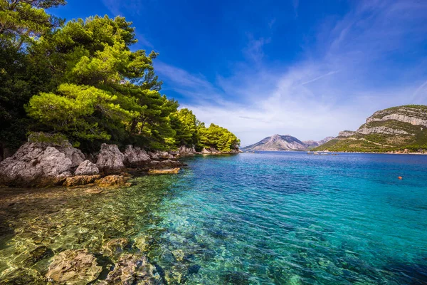 Penisola Peljesac Dalmazia Meridionale Croazia Europa — Foto Stock