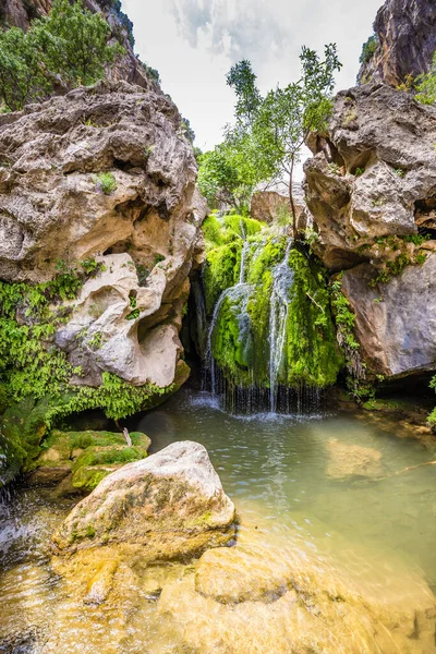 Vízesés Cascading Green Moss Sierras Cazorla Spanyolország Stock Kép