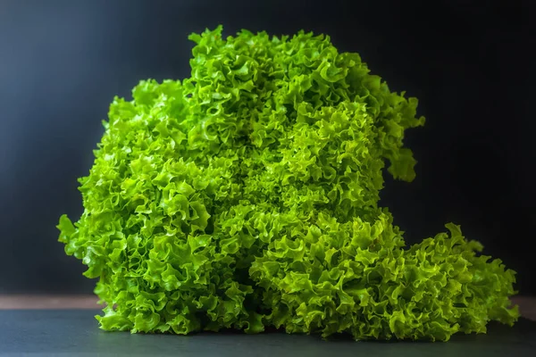 A bunch of green lettuce on a black background. Fresh juicy vegetables