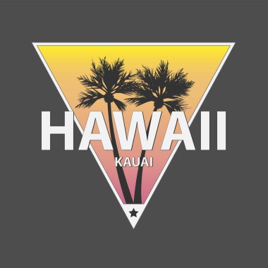 Hawaii Kauai tişörtü. Arka planda palmiye ağacı var.