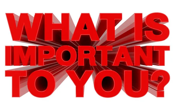 WHAT IS IMPORTANT TO YOU ? red word on white background 3d rende — 스톡 사진