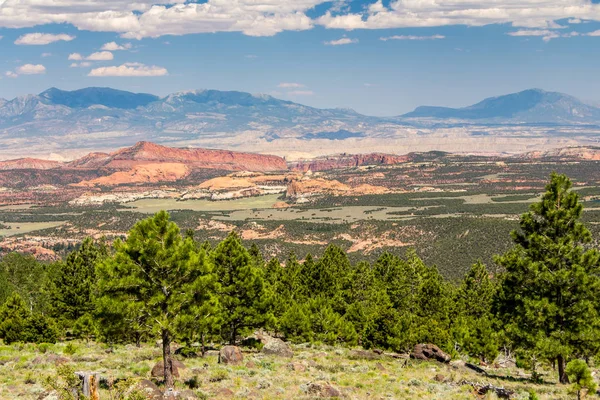 Schöne, farbenfrohe landschaft in arizona Stockfoto