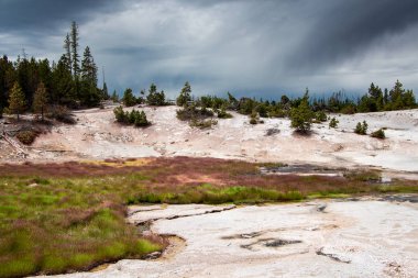Norris Şofben havzasında yellowstone Milli Parkı