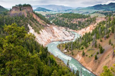 Wyoming, Usa 'daki Yellowstone Nehri. Doğa manzarası.