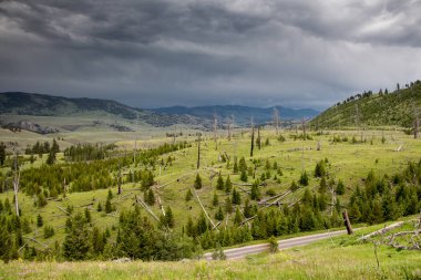 Lamar Valley Yellowstone Milli Parkı'nda