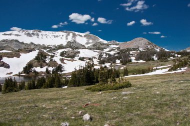 Medicine Bow Ulusal Ormanı, Wyoming, Usa. Önde yeşil çimen, arkada karlı dağ