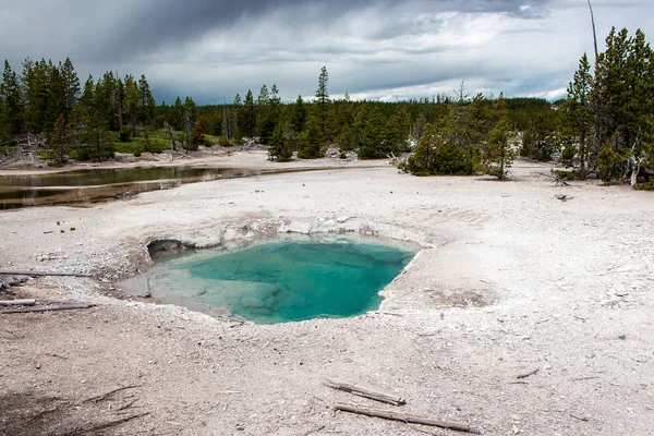 Cuenca Norris Geyser Parque Nacional Yellowstone — Foto de Stock