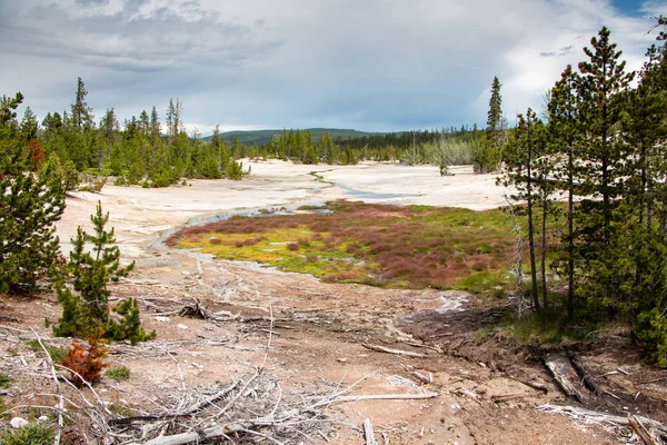 Cuenca Norris Geyser Parque Nacional Yellowstone — Foto de Stock