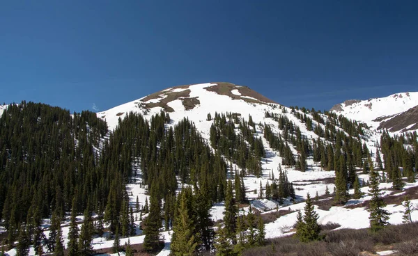 Vacker Utsikt Över Bergen Från Independence Pass Högt Bergspass Centrala — Stockfoto