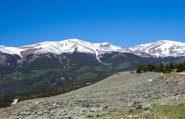 Schöne Bergsicht Vom Unabhängigkeitspass Hochgebirgspass Zentralen Colorado Vereinigte Staaten Liegt lizenzfreie Stockfotos