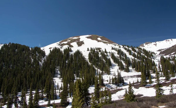 Schöne Bergsicht Vom Unabhängigkeitspass Hochgebirgspass Zentralen Colorado Vereinigte Staaten Liegt Stockbild