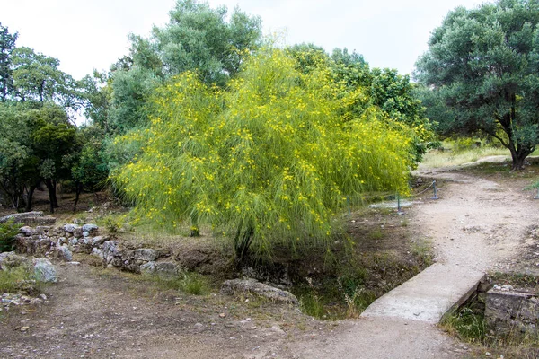 Parques Athens Ancient Agora — Fotografia de Stock