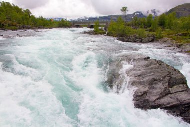 Nehrin aktığı Norveç manzarası