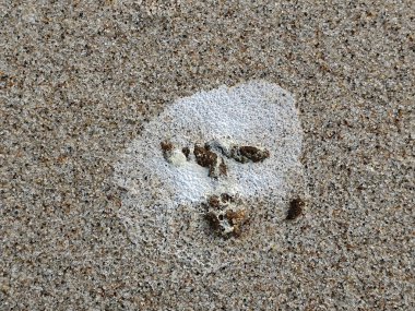 Sahilde soyut bir şekil