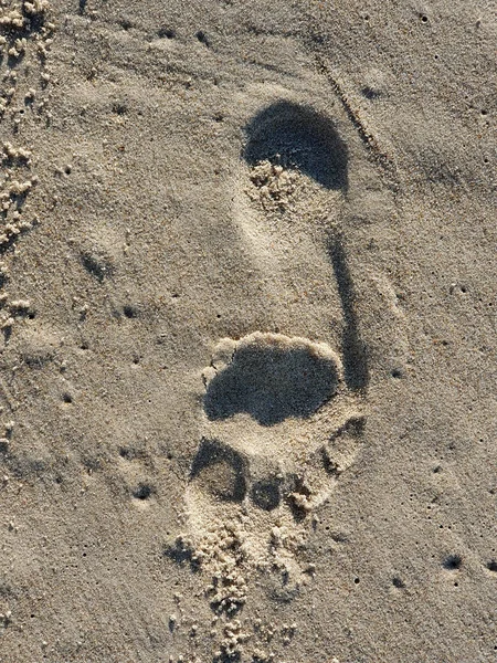 Enkele voetafdruk op het strand — Stockfoto