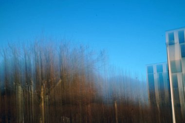 Güneşli bir günde masmavi gökyüzüne bakan ağaçların bulanık görüntüsü