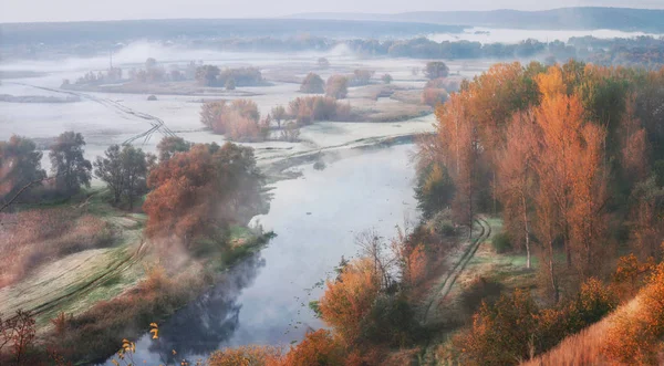 Herfst bos en de rivier — Stockfoto