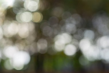 Soyut doğal arkaplan