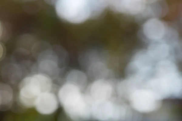 Blurred background - nature — Stock Photo, Image