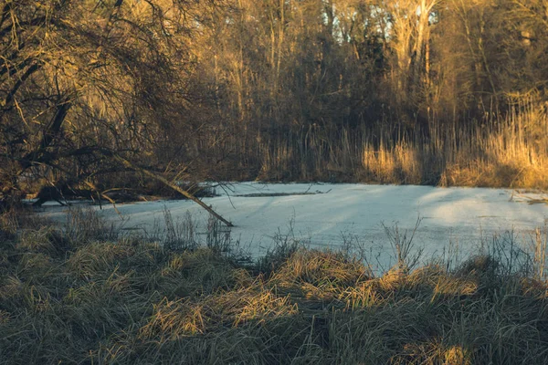 Gün Batımında Ormandaki Donmuş Gölet — Stok fotoğraf