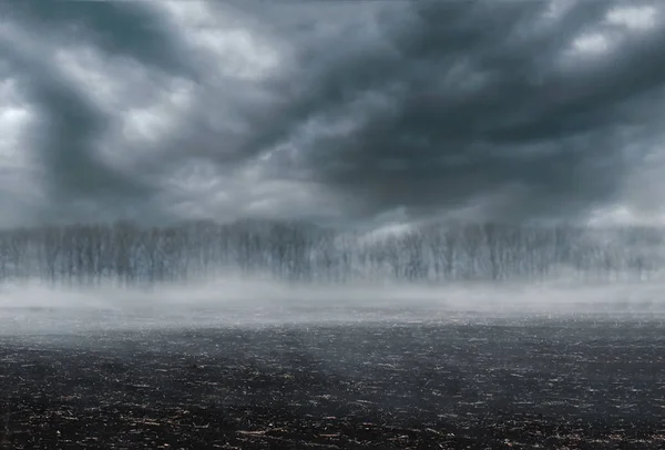 Gloomy Landscape Scorched Earth Fog Dark Forest — Stock Photo, Image