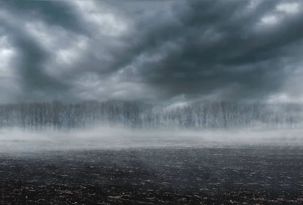 Düstere Landschaft Verbrannte Erde Nebel Und Dunkler Wald — Stockfoto