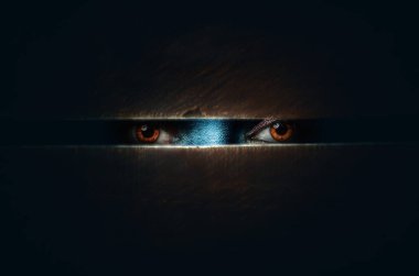 The horror movie poster. eyes  looking from the darkness clipart