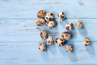 Grup bıldırcın yumurtası