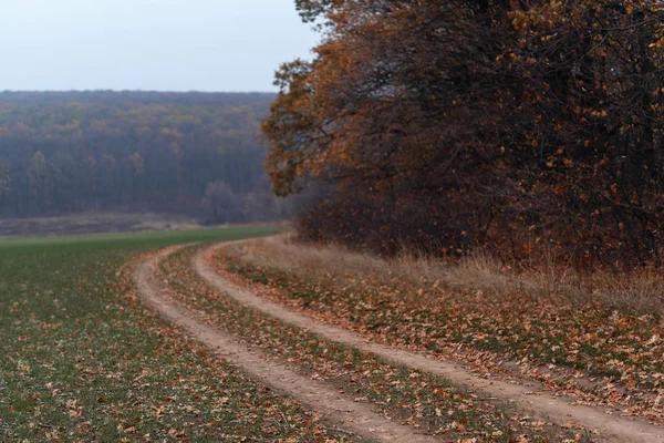 Autumn Winding Country Road Fallen Leaves — Stock Photo, Image