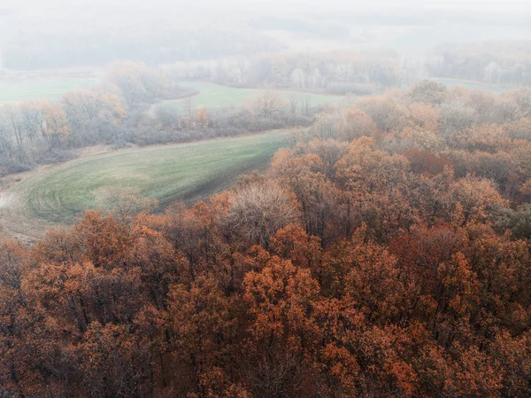 Nebel im herbstlichen Wald - Draufsicht — Stockfoto