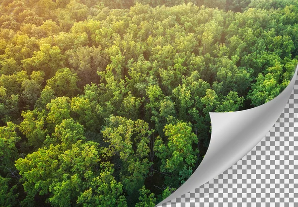 Beautiful forest landscape - top view and page turning — Stockfoto