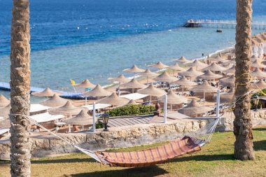 Hamak, deniz manzaralı palmiye ağaçları arasında