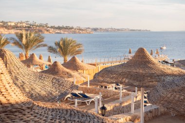 Deniz kıyısındaki plaj şemsiyeleri