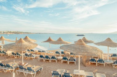 Güneşli yatakları ve şemsiyeleri olan harika bir sahil.