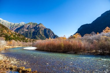 Kamikochi Japonya, Azusagawa Nehri ve Larch ağaçları, Kuzey Japonya 'daki Kamikochi Ulusal Parkı.
