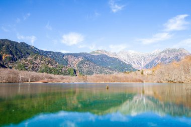 Kamikochi Japonya, Azusagawa Nehri ve Larch ağaçları, Kuzey Japonya 'daki Kamikochi Ulusal Parkı.