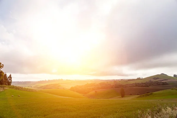 Landscape Sunset New Zealand — Stock Photo, Image