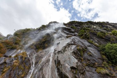 Yeni Zelanda 'nın derin ormanlarındaki şelale.