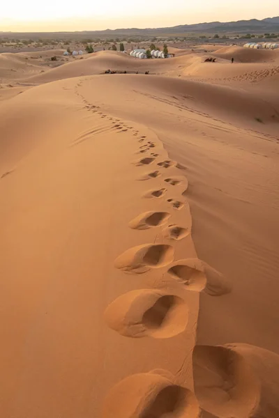 Footprints in the sahara desert sand. Morocco