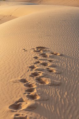 Sahara çölünde ayak izleri. Fas