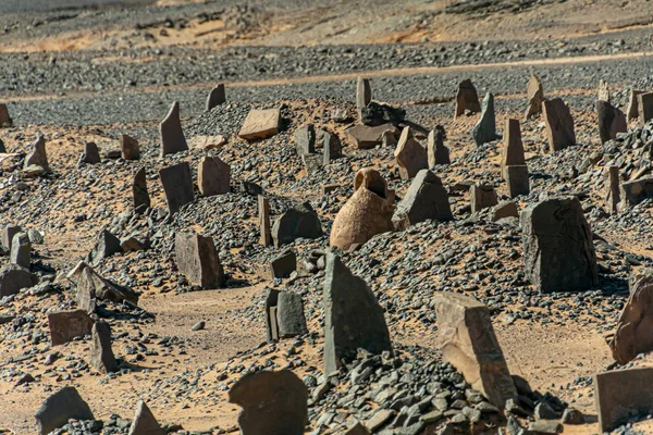 Stary cmentarz berberyjski na starym mieście Merzouga. Maroko — Zdjęcie stockowe