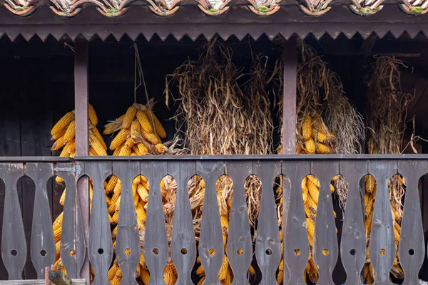 Maïskolven Typische Asturische Horreo Spanje — Stockfoto